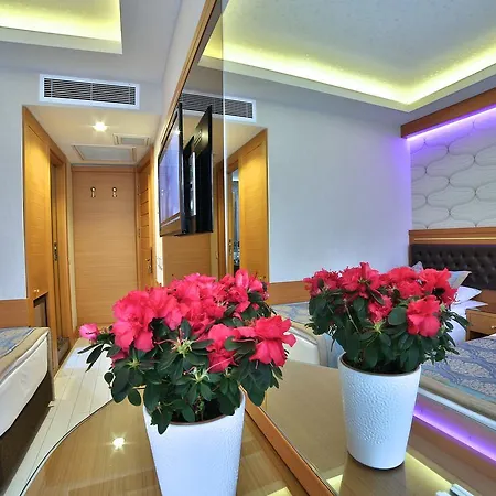 伊斯坦布尔瑞斯特帕萨酒店 3*